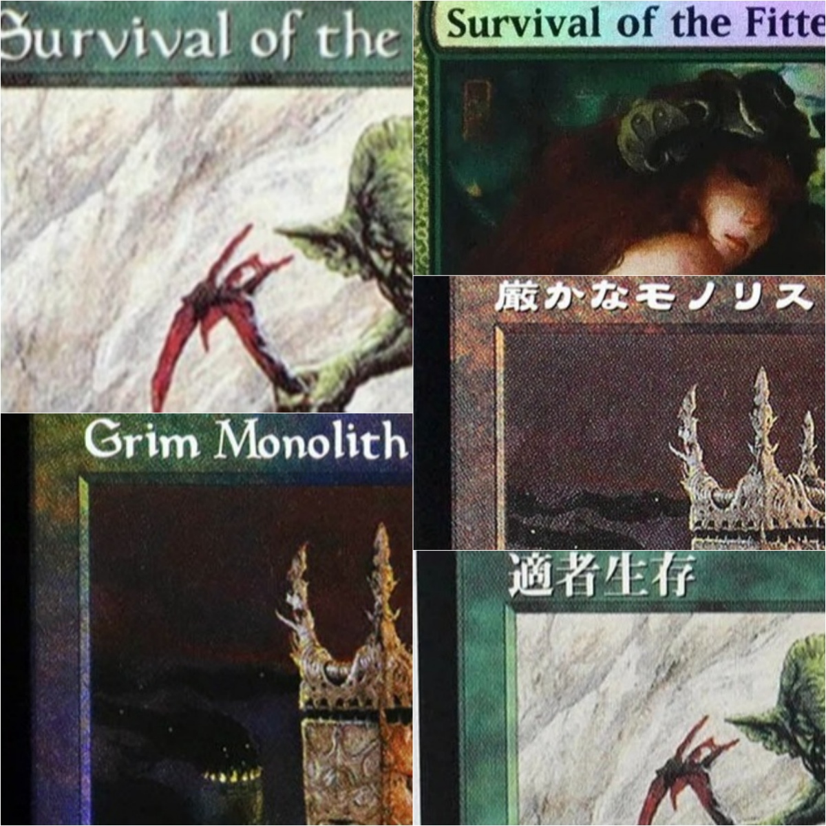 Board Game Survive The Island - Tarjetas Proxy TCG de Grim Monolith/Survival